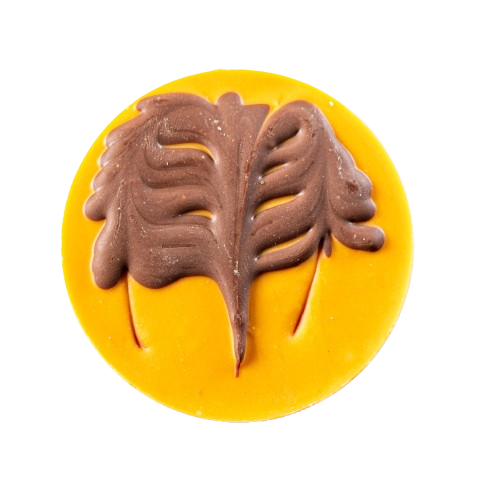 LA TERRE FERME
